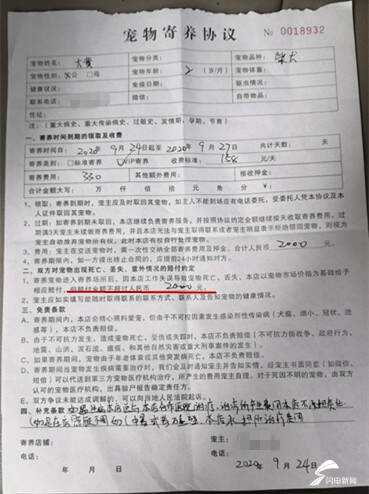 济南巴比豆豆宠物乐园寄养服务每天158元宠物却在第一天被车撞死