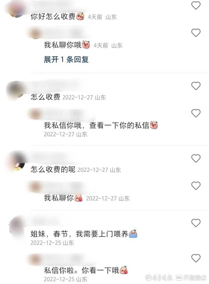 春节临近，济南宠物上门喂养迎来预定高峰！宠物经济正升温